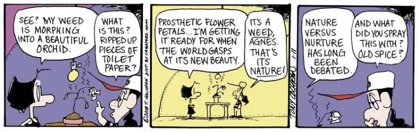 Agnes for Jan 11, 2024