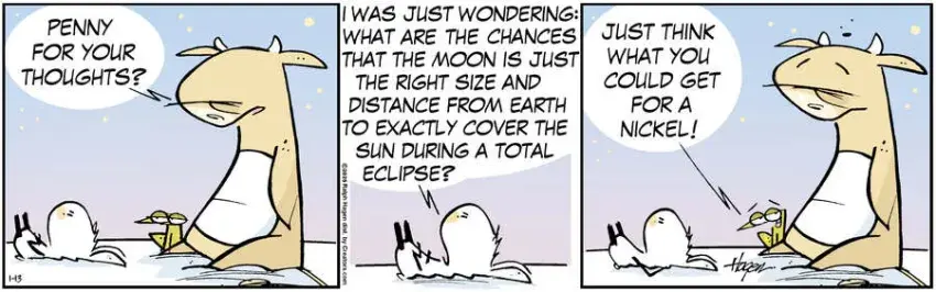 The Barn for Jan 13, 2025