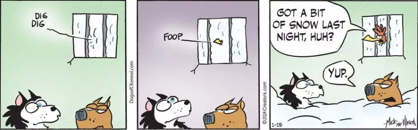 Dogs of C-Kennel for Jan 15, 2024