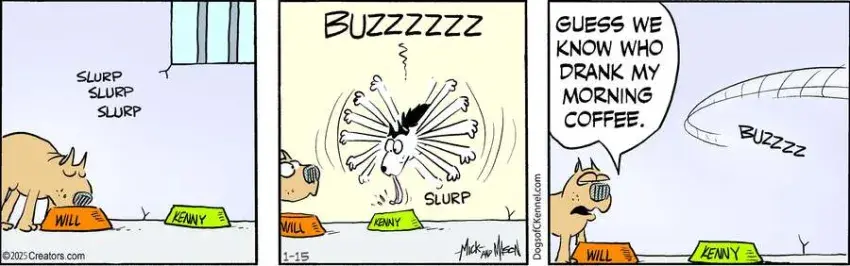 Dogs of C-Kennel for Jan 15, 2025