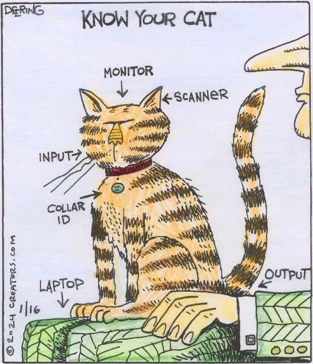 Strange Brew for Jan 16, 2024