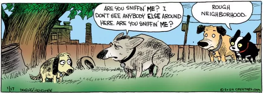 Zack Hill for Jan 17, 2024