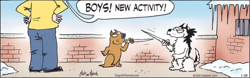 Dogs of C-Kennel for Jan 18, 2024