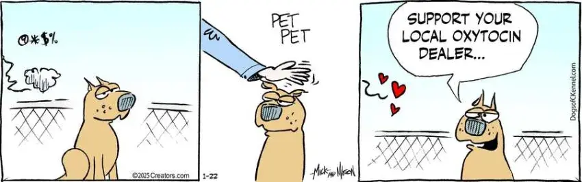 Dogs of C-Kennel for Jan 22, 2025