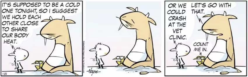 The Barn for Jan 25, 2024