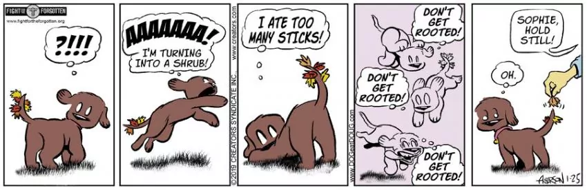 Dog Eat Doug for Jan 25, 2024