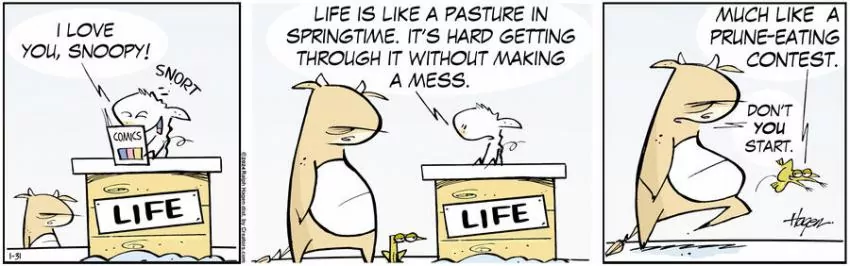 The Barn for Jan 31, 2024