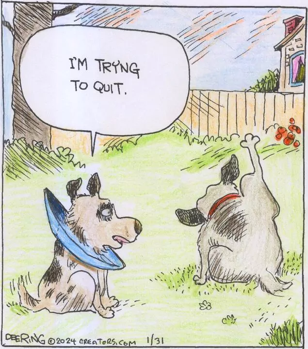 Strange Brew for Jan 31, 2024