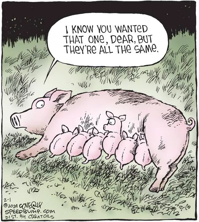 Speed Bump for Feb 01, 2024