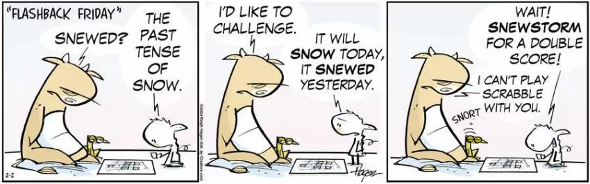 The Barn for Feb 02, 2024