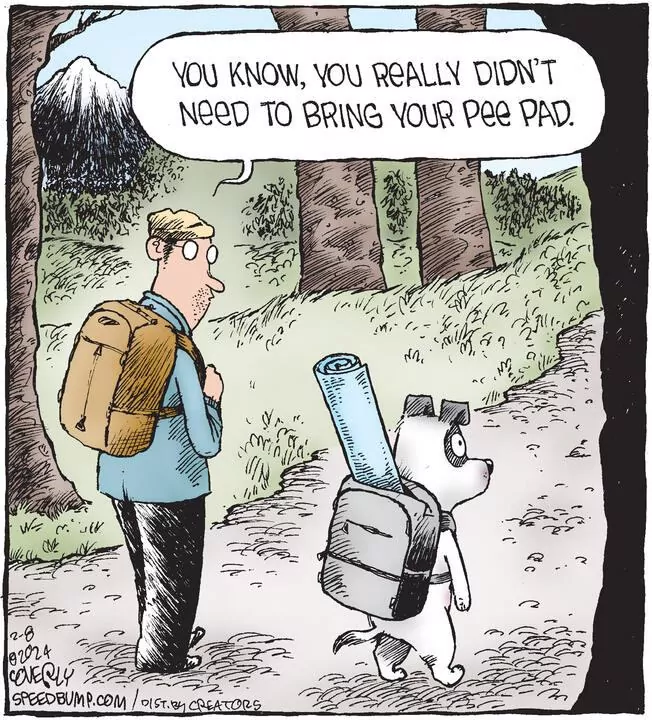 Speed Bump for Feb 08, 2024