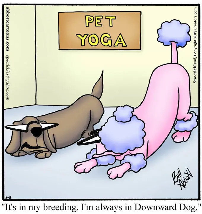 Spectickles for Feb 08, 2025