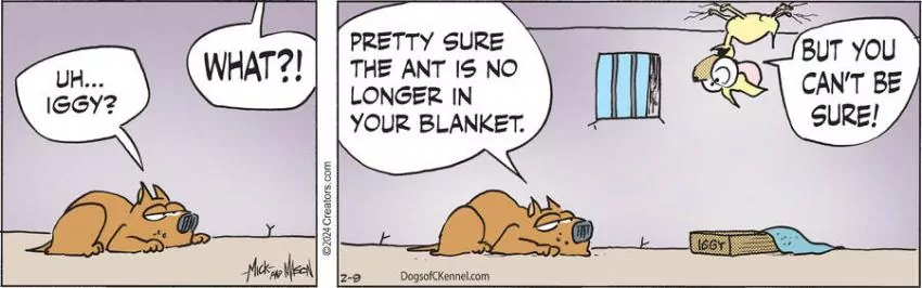 Dogs of C-Kennel for Feb 09, 2024