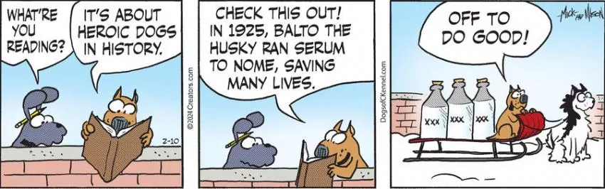 Dogs of C-Kennel for Feb 10, 2024