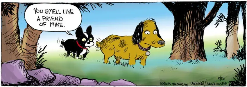 Zack Hill for Feb 15, 2025