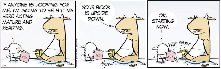 The Barn for Feb 17, 2024