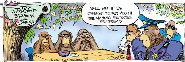 Strange Brew for Feb 18, 2024