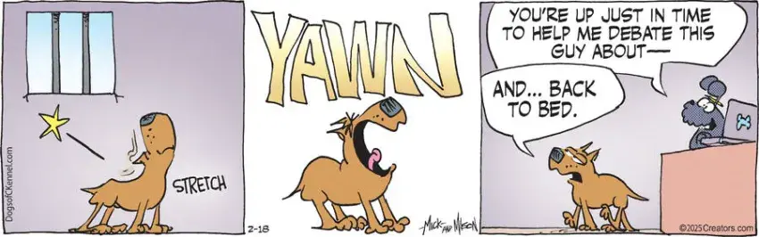 Dogs of C-Kennel for Feb 18, 2025