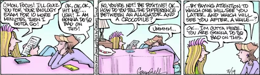 Flo & Friends for Feb 19, 2024