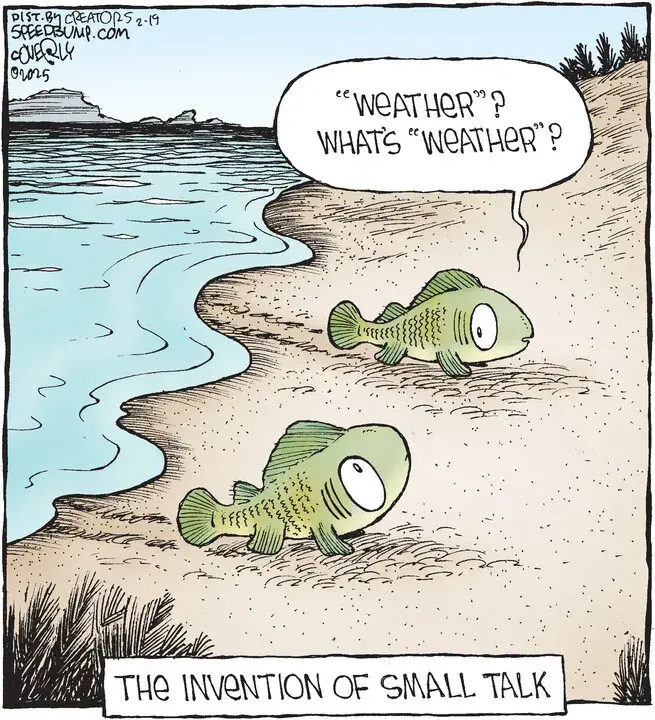 Speed Bump for Feb 19, 2025