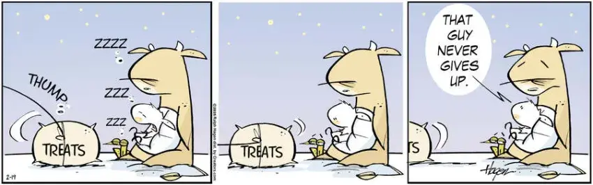 The Barn for Feb 19, 2025