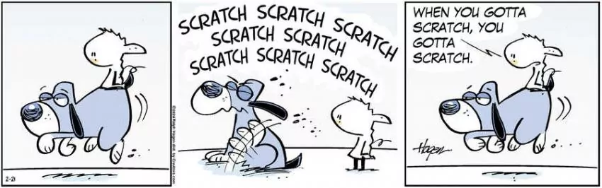 The Barn for Feb 21, 2024