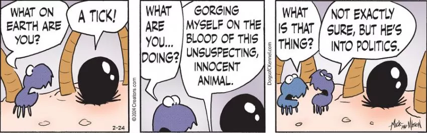 Dogs of C-Kennel for Feb 24, 2024