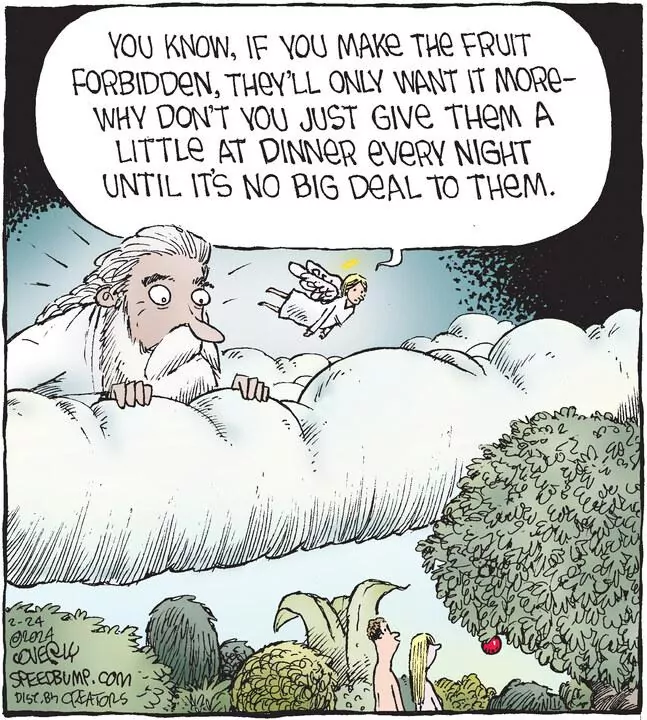 Speed Bump for Feb 24, 2024