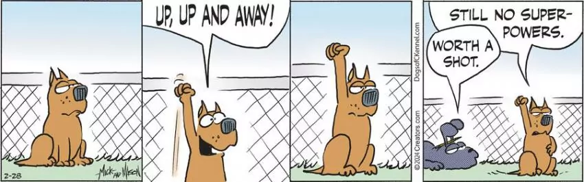 Dogs of C-Kennel for Feb 28, 2024