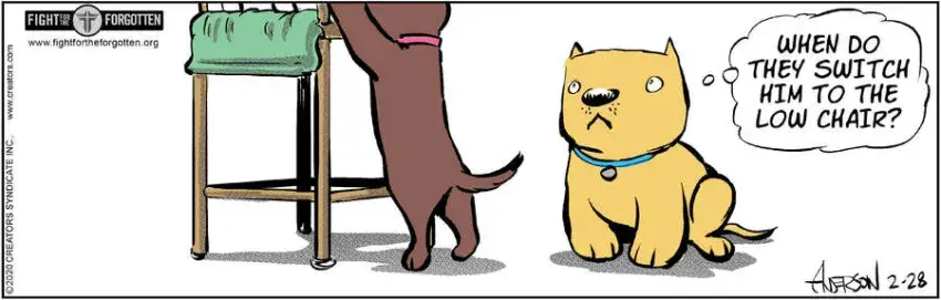 Dog Eat Doug for Feb 28, 2025