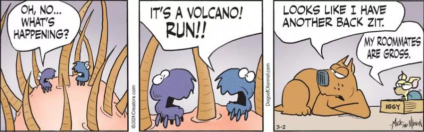 Dogs of C-Kennel for Mar 02, 2024