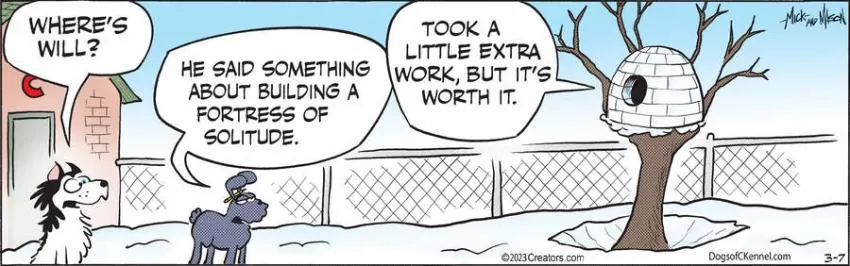 Dogs of C-Kennel for Mar 07, 2023