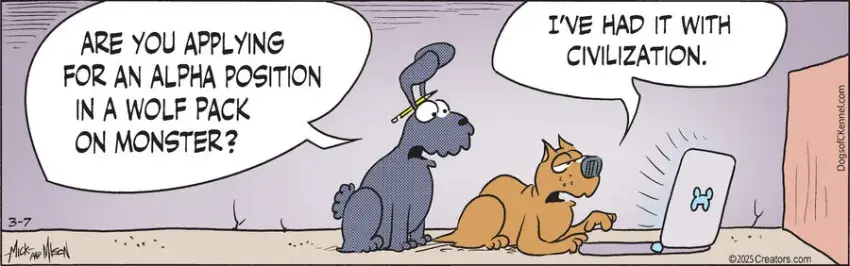 Dogs of C-Kennel for Mar 07, 2025