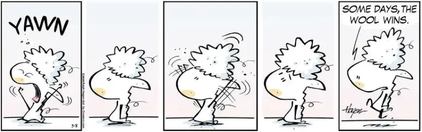 The Barn for Mar 08, 2025