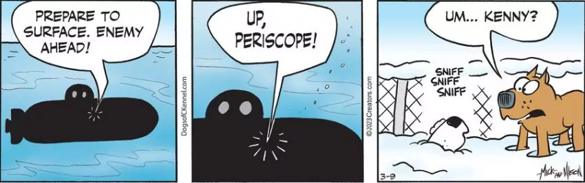 Dogs of C-Kennel for Mar 09, 2023