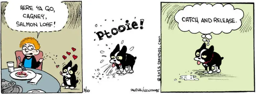 Zack Hill for Mar 10, 2025