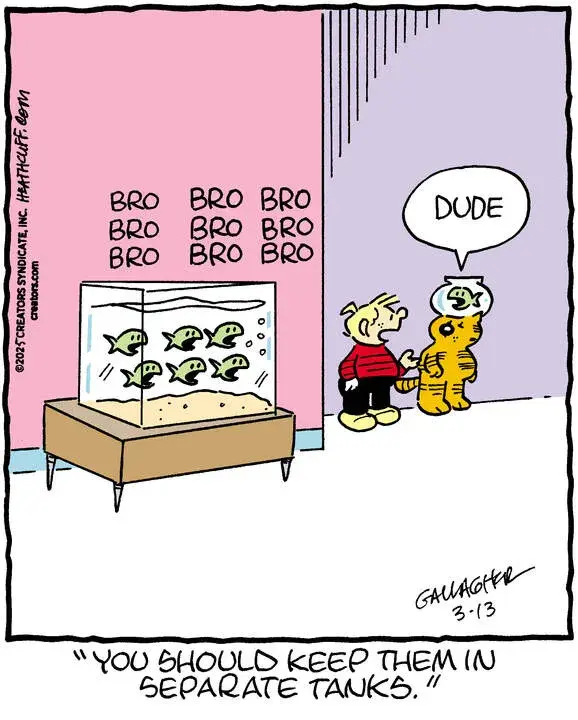 Heathcliff for Mar 13, 2025