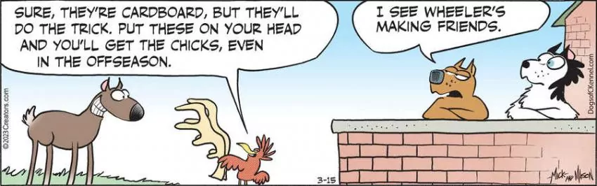 Dogs of C-Kennel for Mar 15, 2023