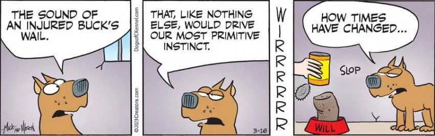 Dogs of C-Kennel for Mar 16, 2023
