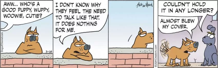 Dogs of C-Kennel for Mar 16, 2024