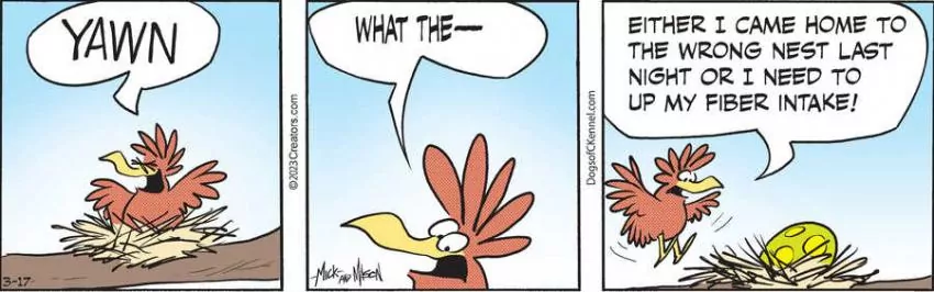 Dogs of C-Kennel for Mar 17, 2023