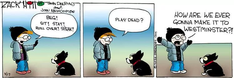 Zack Hill for Mar 17, 2024