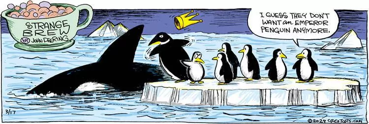 Strange Brew for Mar 17, 2024