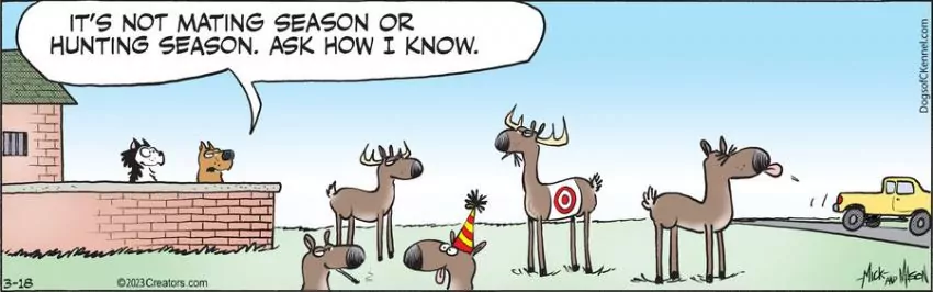 Dogs of C-Kennel for Mar 18, 2023