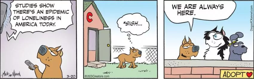 Dogs of C-Kennel for Mar 20, 2023