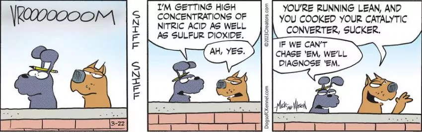 Dogs of C-Kennel for Mar 22, 2023