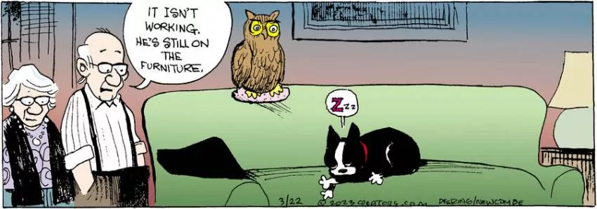 Zack Hill for Mar 22, 2023