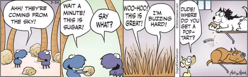 Dogs of C-Kennel for Mar 24, 2023