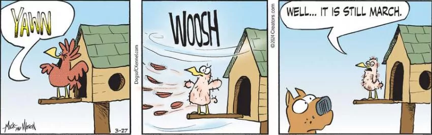 Dogs of C-Kennel for Mar 27, 2024