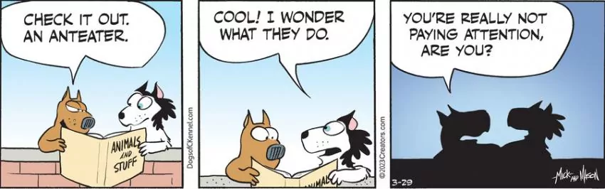 Dogs of C-Kennel for Mar 29, 2023